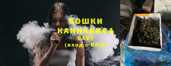 молекула духа Вязьма